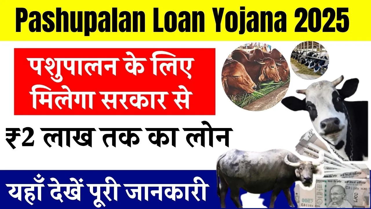 Pashupalan Loan Yojana 2025