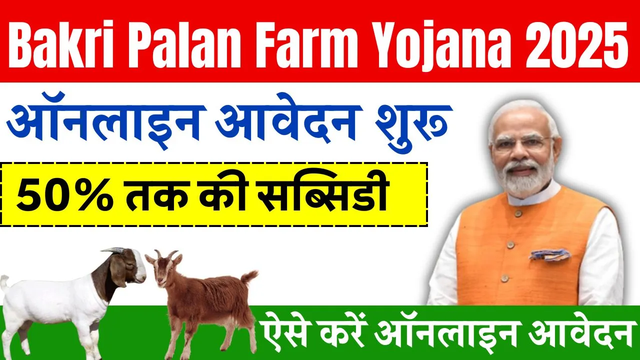 Bakri Palan Farm Yojana 2025