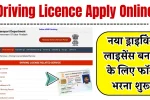 Driving Licence Apply Online