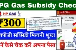 LPG Gas Subsidy Check