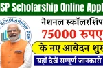 NSP Scholarship Online Apply