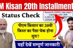 PM Kisan 20th Installment Status Check